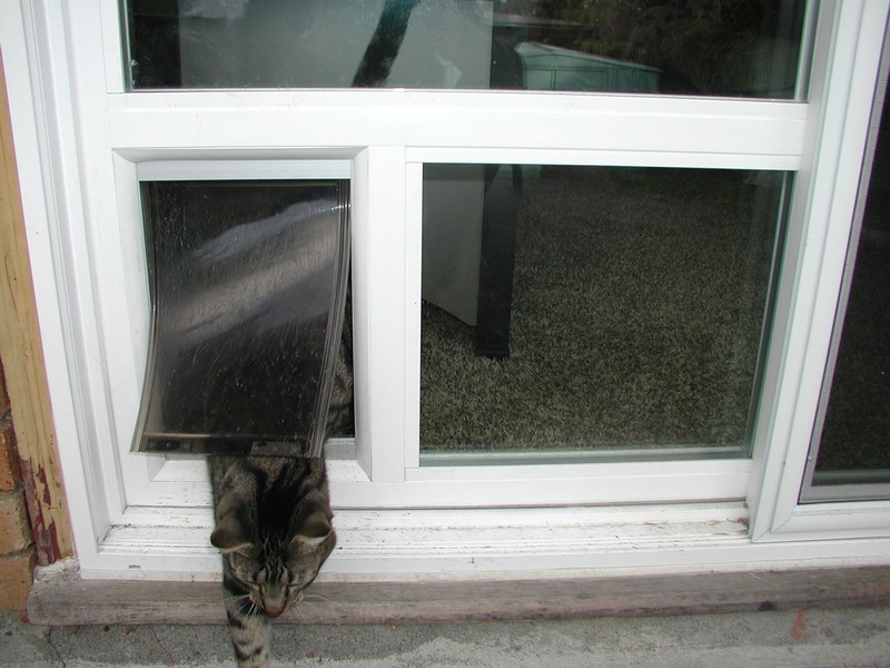 home-window-repair-university-place-wa