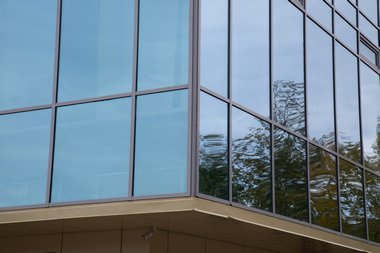 Bellevue tinted windows for your business in WA near 98004