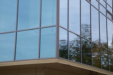 Best Tacoma tinted windows in WA near 98444