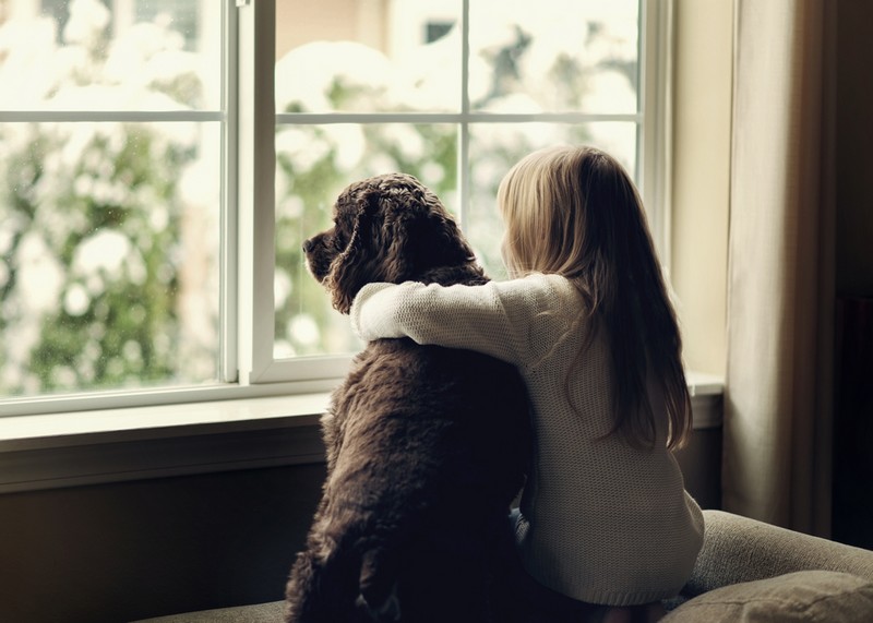 residential-windows-redmond-wa